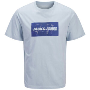 T-Shirt azzurra con stampa frontale 100% cotone