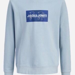 Felpa azzurra girocollo con stampa frontale 60% cotone 40% poliestere