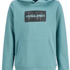Felpa mineral con stampa frontale e cappuccio 60% cotone 40% poliestere